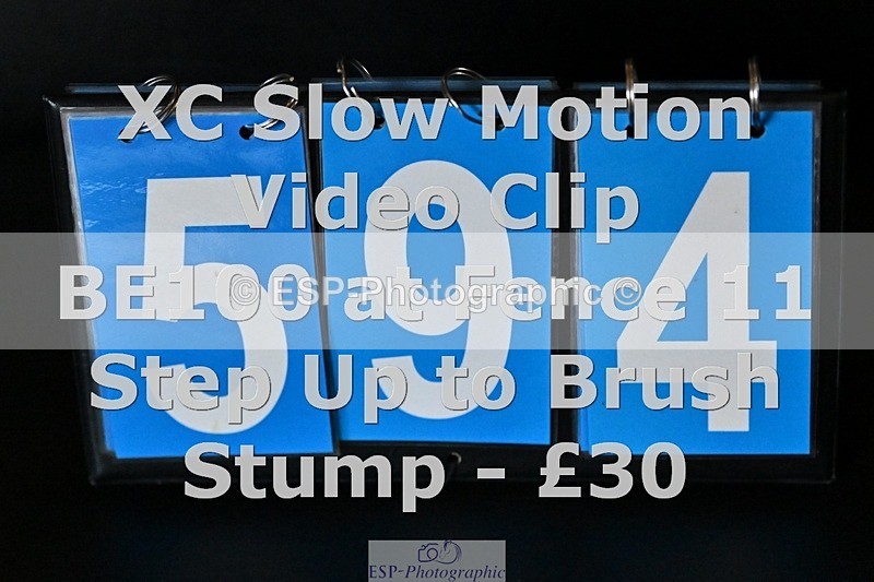 ESP_594 - 594-Miya.Johns-BOWHAYLANDS.SKYFALL