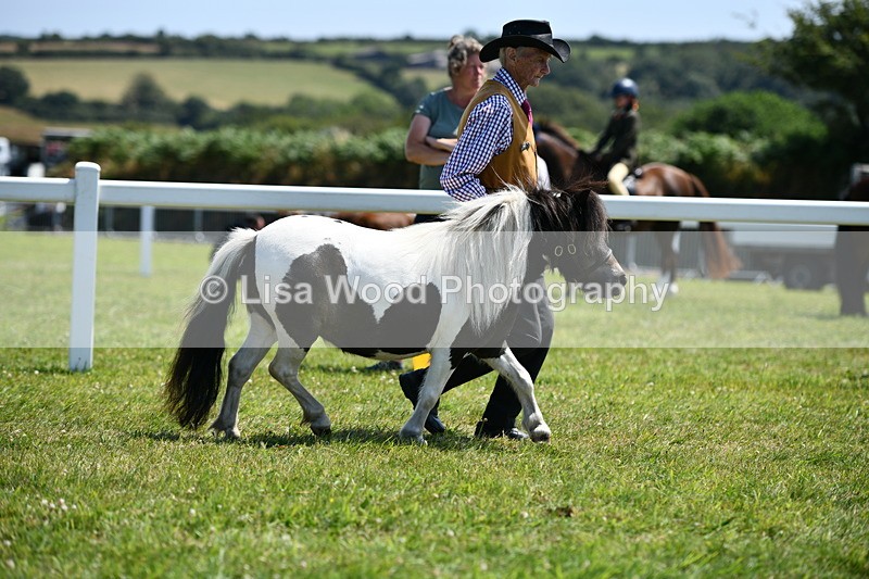 DSC_7578 - Class 64: Coloured Pony 4yrs & over