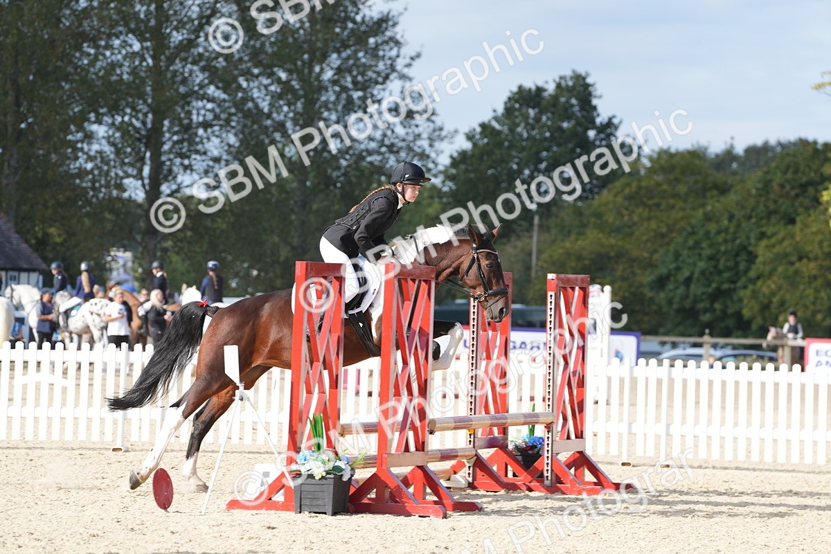 SBM_48797 - J22 - Junior Horse 65cm Championship