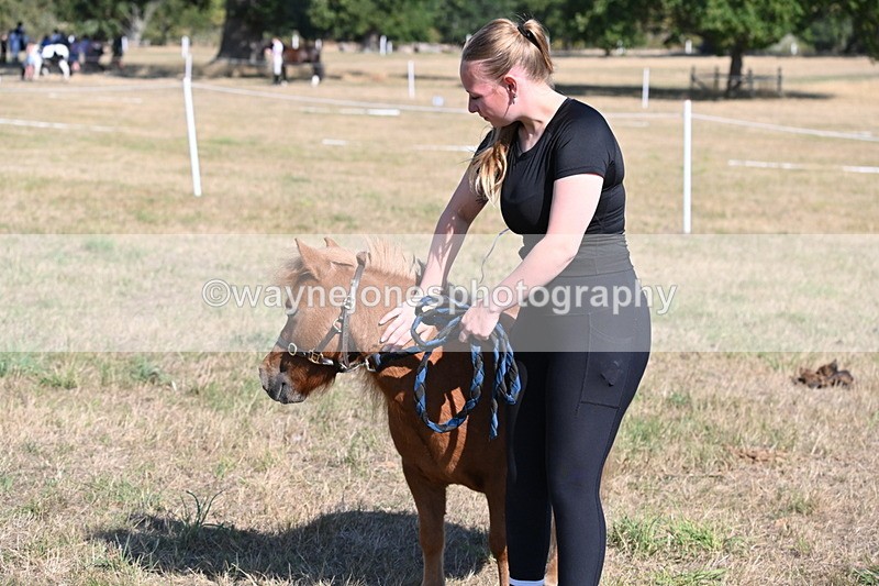 WJ6_7316 - Class 33 Rescue Pony