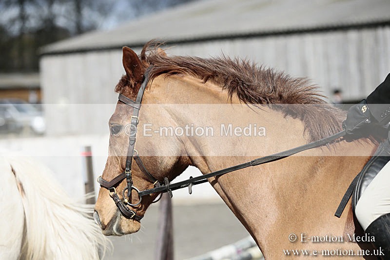 BVRC SJ 170319 167 - Bourne Valley Riding Club Showjumping 17/03/19
