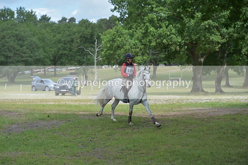 NGP_7384 - Time 11:18 to 11:27