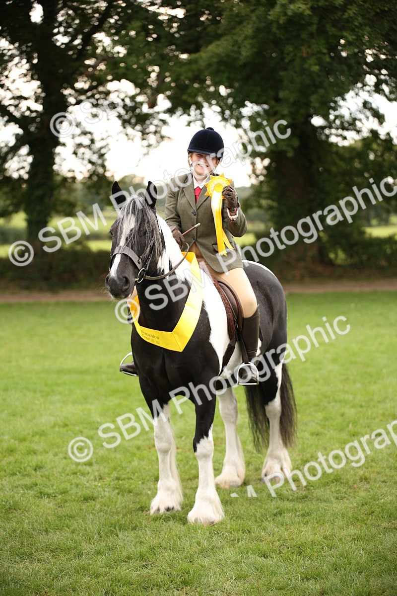 SBM_73582 - S68 - Traditional Cob Ridden