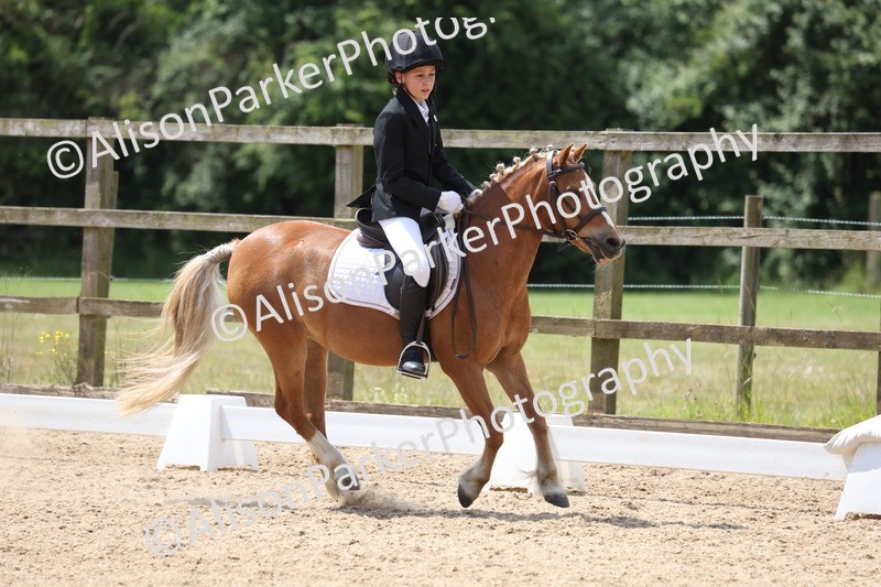 20250614-0616 - Class 5 - Novice 3