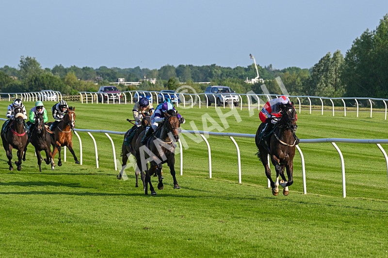 310524-Race 2-Dandy Fitz-8475 - Race 2