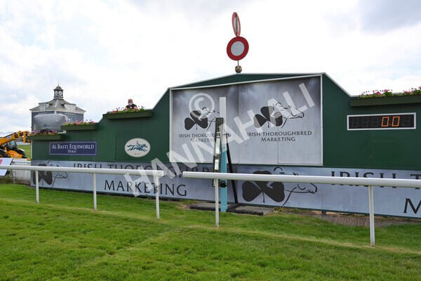 yr11062021r6-17 - Race 6 4.35pm Irish Thoroughbred Marketing Stakes