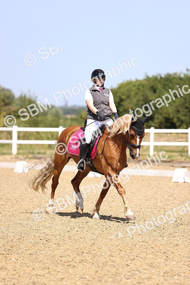 SBM_010390 - Novice 5 - 11.20-12.23