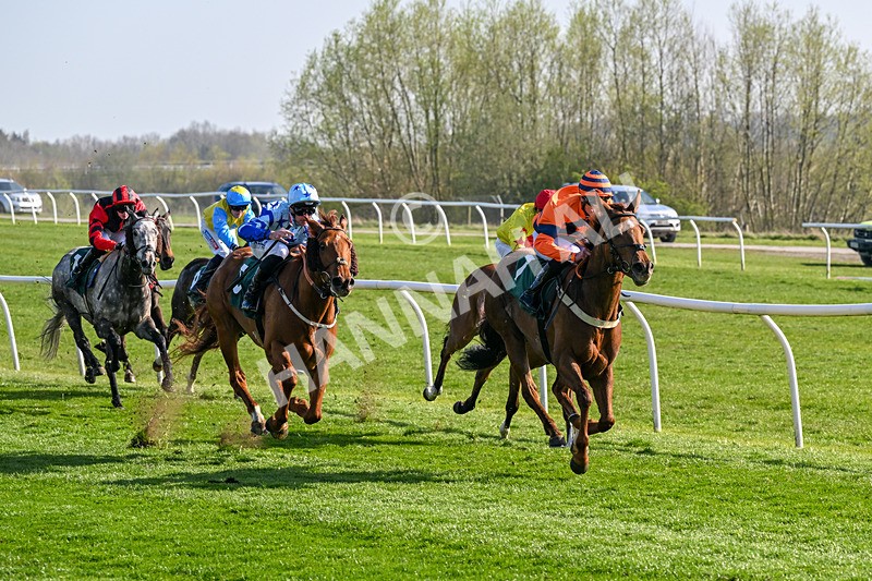 080426-Race 5-Free Pic-0571 - Race 5