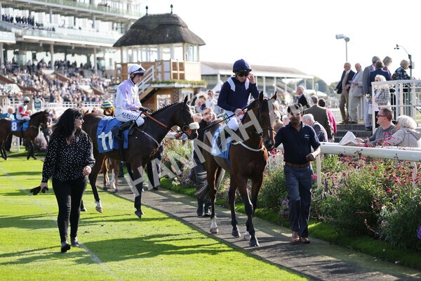 yr08102021r1-4 - Race 1 2.05pm Parsonage Hotel and Cloisters Spa Nursery Handicap