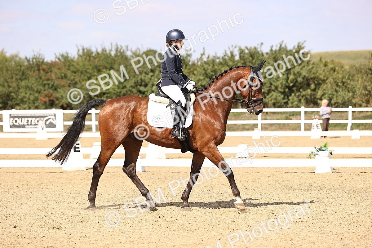 SBM_015056 - Class 6 - Elementary 5