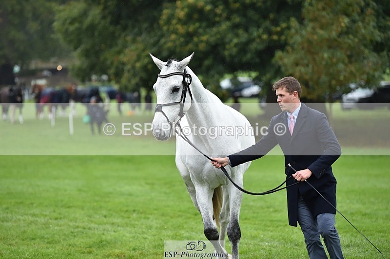 231018-121844-00201 - 027-IE.MR.MCGREGOR-Will.Furlong-TrotUp