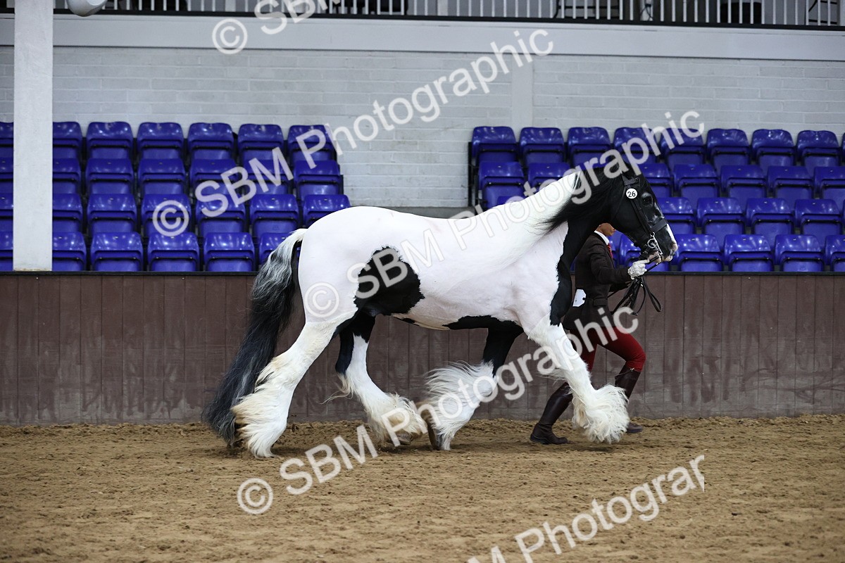SBM_5625 - Class 40 - RESS In Hand Qualifier