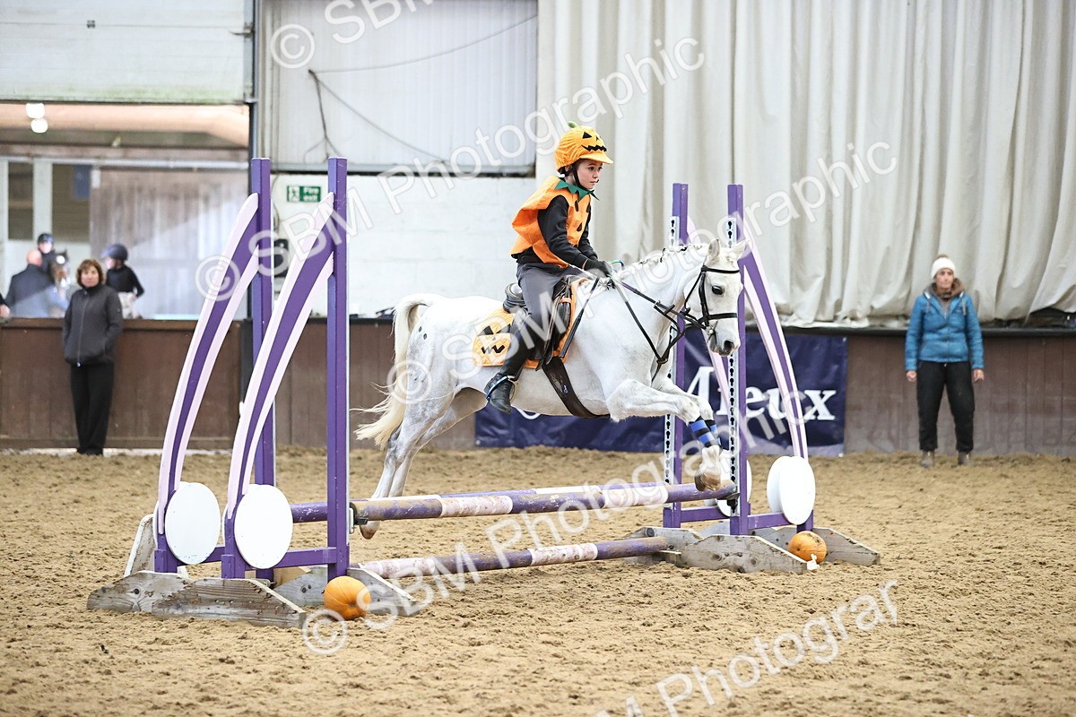 SBM_001361 - Class 3 - Horse & Hound 60cm