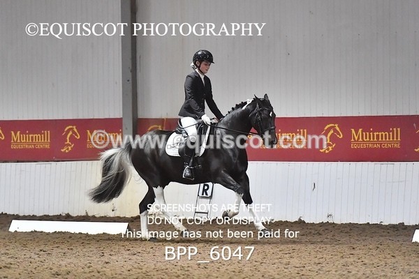 BPP_6047 - ELEM TEST 4