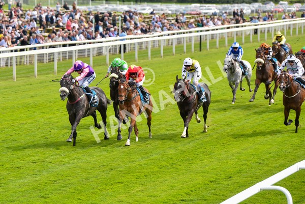 170523-Race 3-Azure Blue-8700 - Race 3 3.00pm 1895 Duke of York Clipper Logistics Stakes