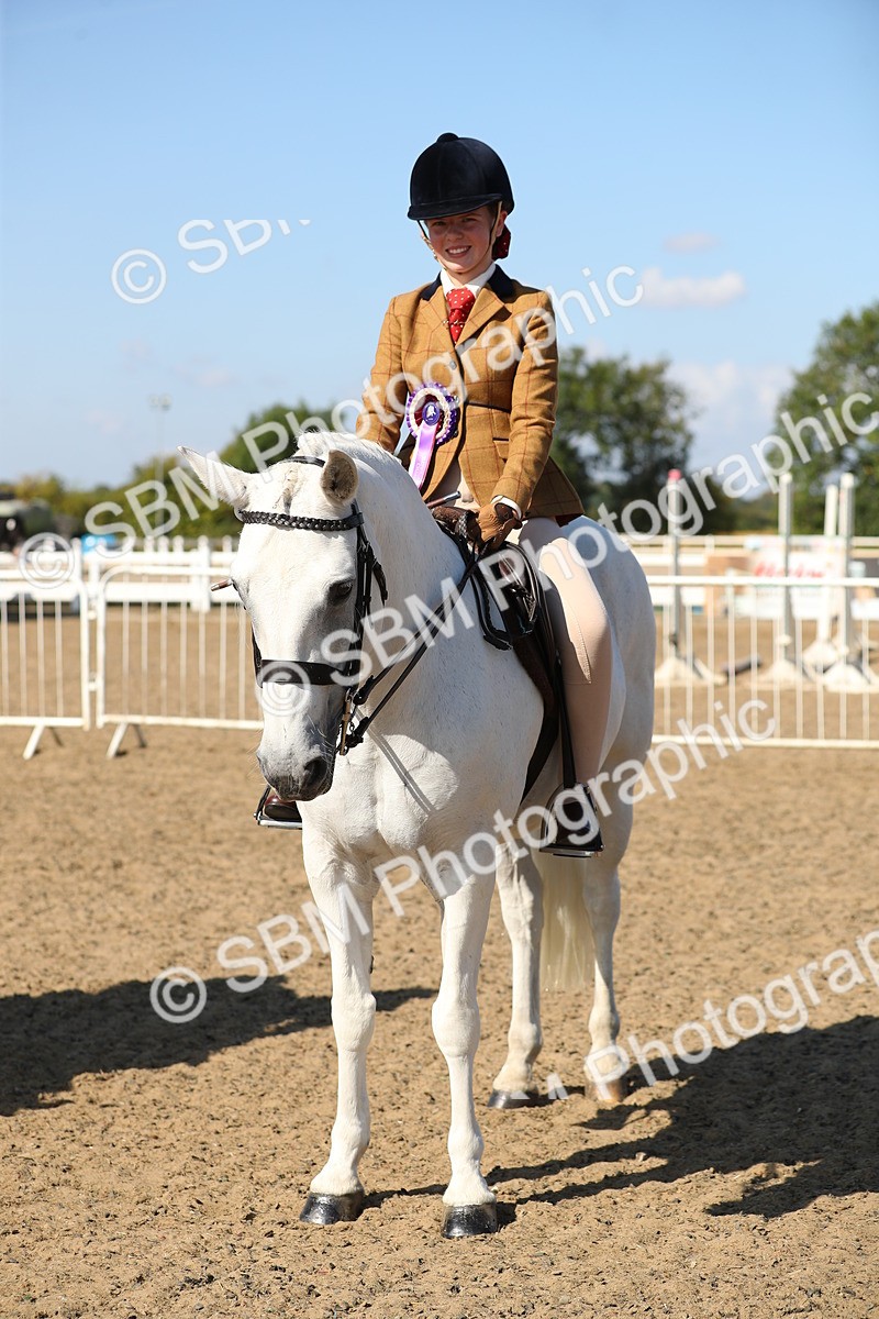 SBM_02401 - Class 43 Ridden Competition Horse/Pony