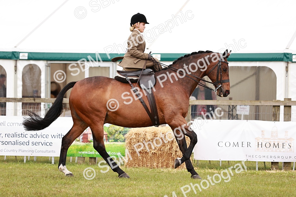 SBM_10977 - Class 81-84 - RIHS Ridden hunters Inc Ladies Hunter