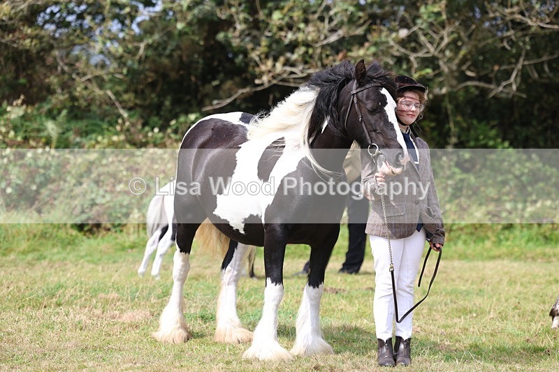 3E7A5423 - Class 19: Best Coloured in Hand