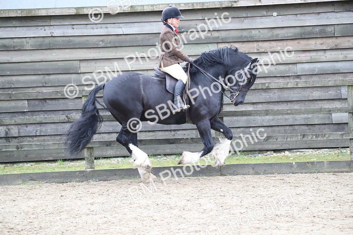 SBM_007074 - Class 10-13 - RIHS Small Large Breeds