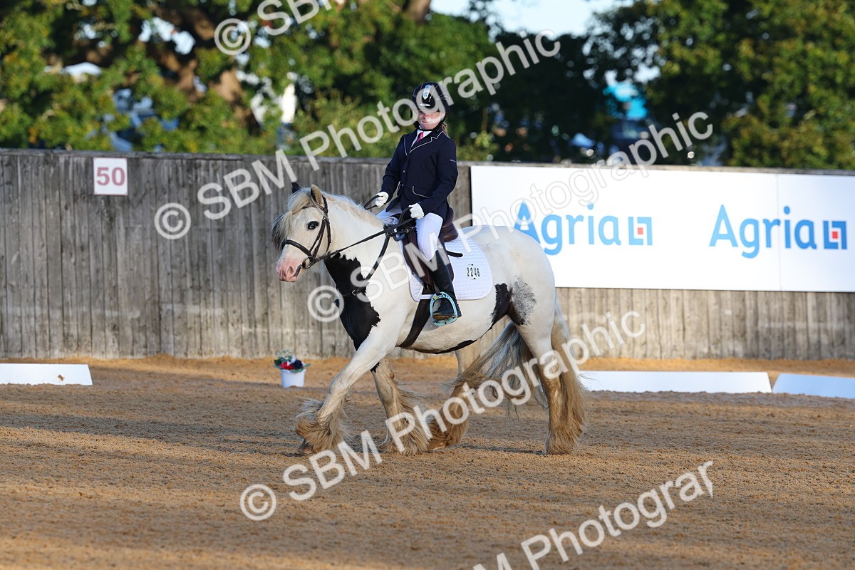 SBM_33425 - D26 - Test Starter Test 1