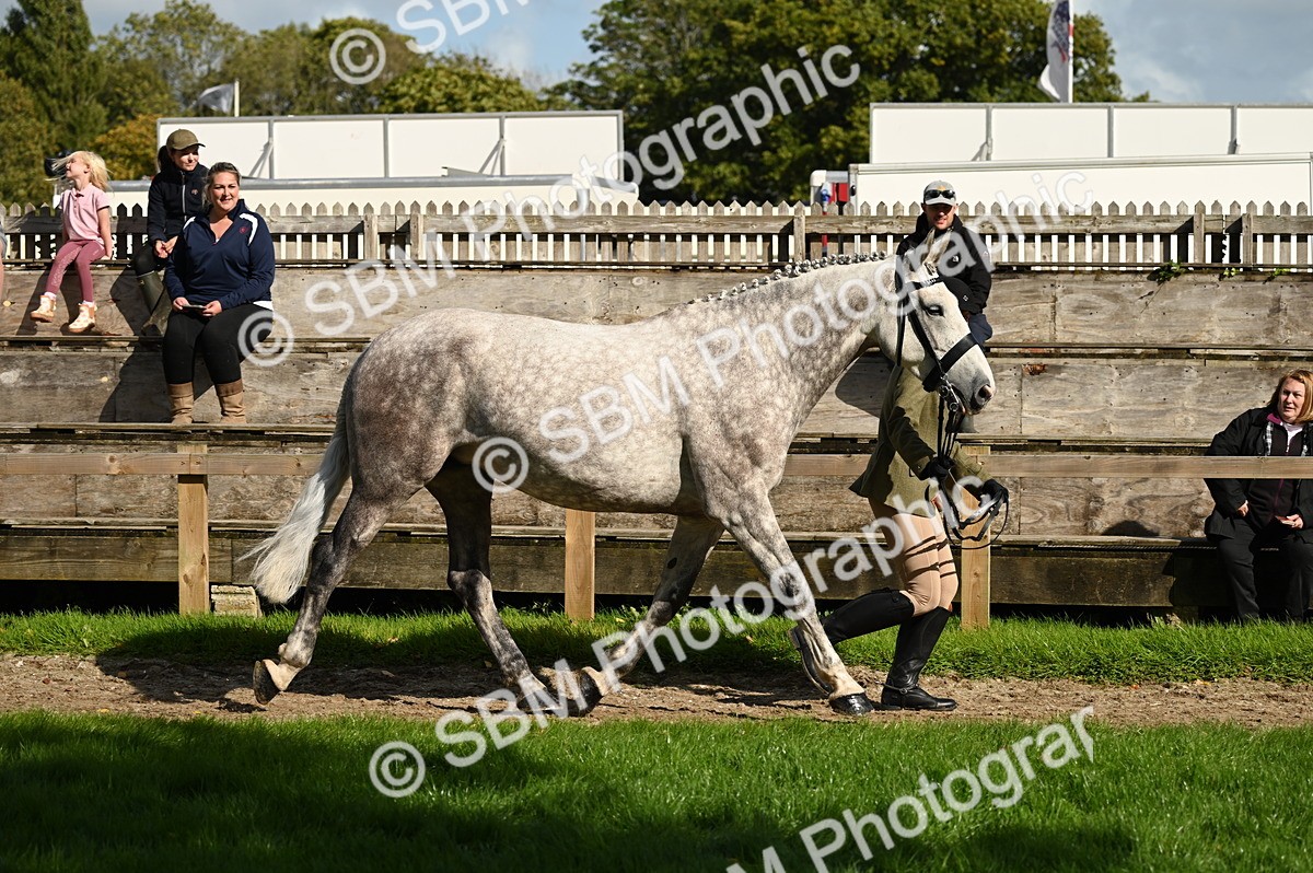 SBM_24979 - S5 - Novice & Newcomer In hand