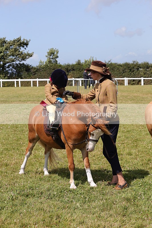 1X9A5289 - Class 36: NPS M&M Lead Rein