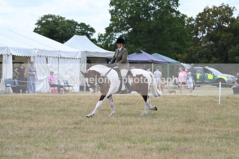 WJ7_5078 - Class 12 Ridden Cob