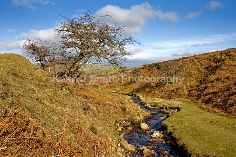 KJS_1772 - United Kindom