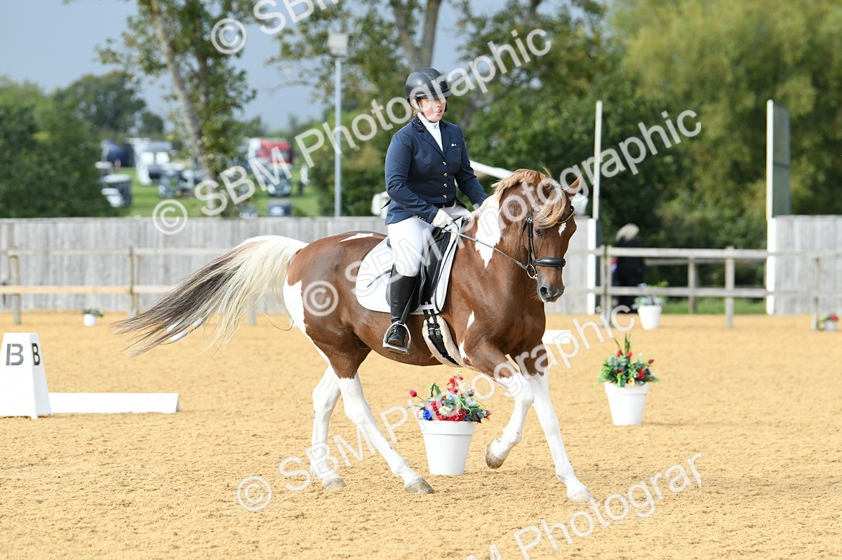 SBM_11067 - D28 Elementary Taster Elementary 42