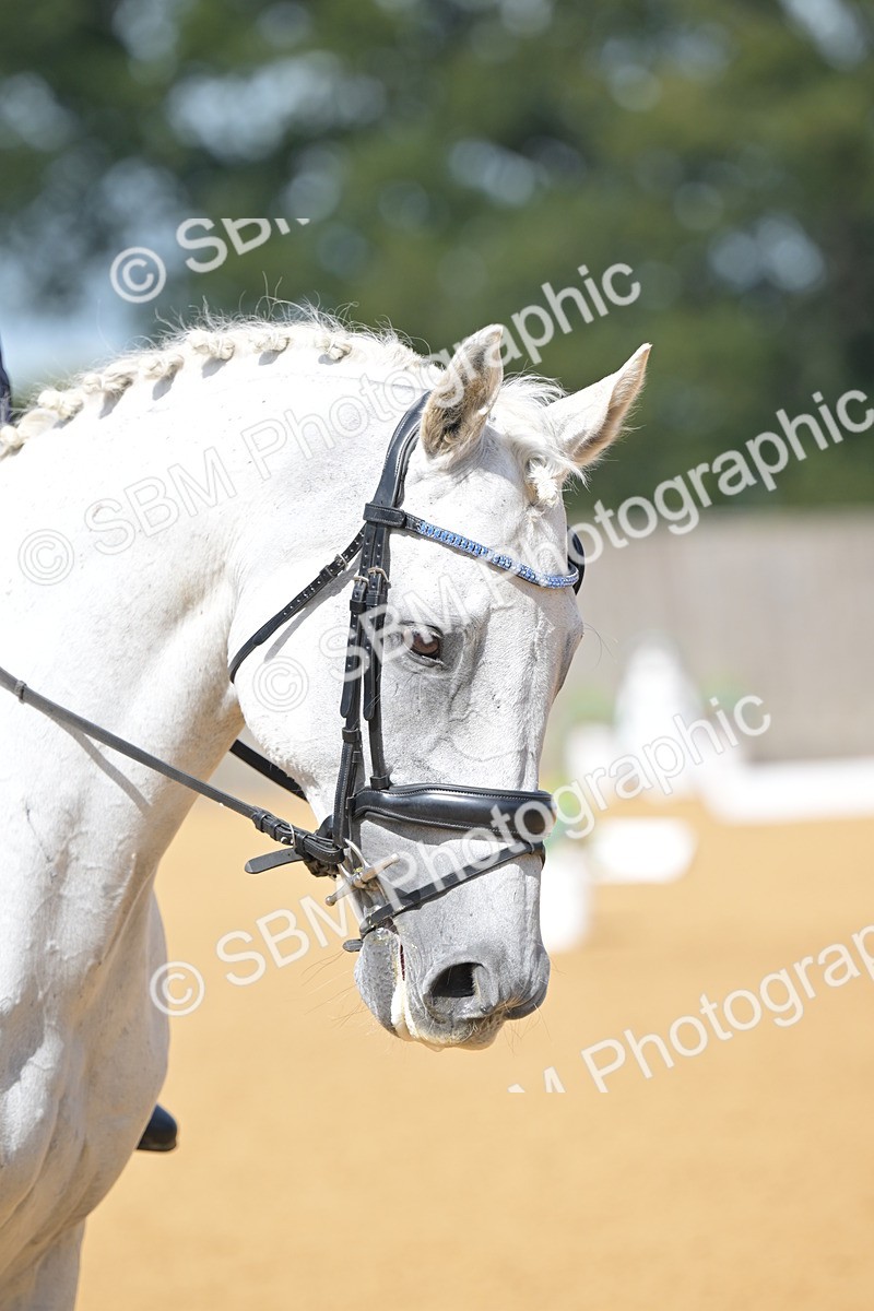SBM_08043 - D8 - Small Tour Championship Prelim 1