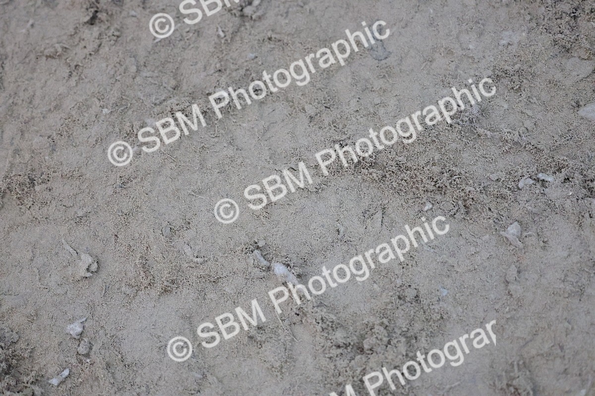 SBM_001468 - Class 7 - Puissance