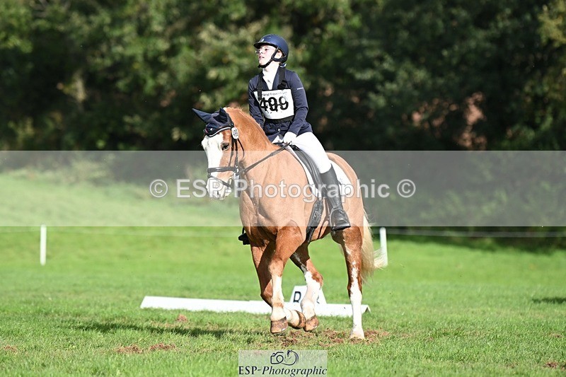 231020-143919-10706 - 499-GORFELYN.PETER.THE.GREAT-Charlotte.Bellamy-DR