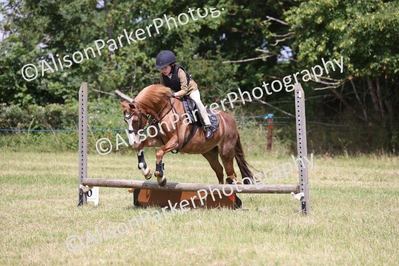20260614-1999 - Class 21 - Novice Working Hunter Pony