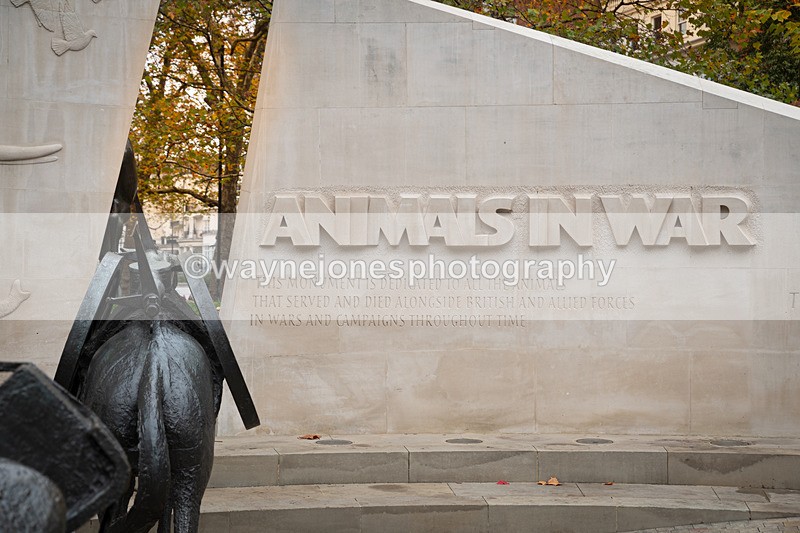 Z62_4746 - Animals In War Memorial 2025 - Park Lane, London