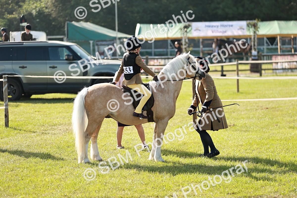 SBM_11239 - Class 106-107 - BSPS LIHS Working Sports Pony