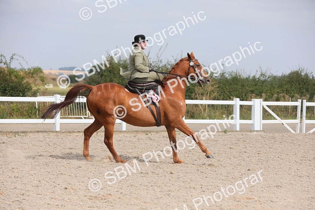 SBM_14666 - Class 211 Best Side Saddle Horse/Pony