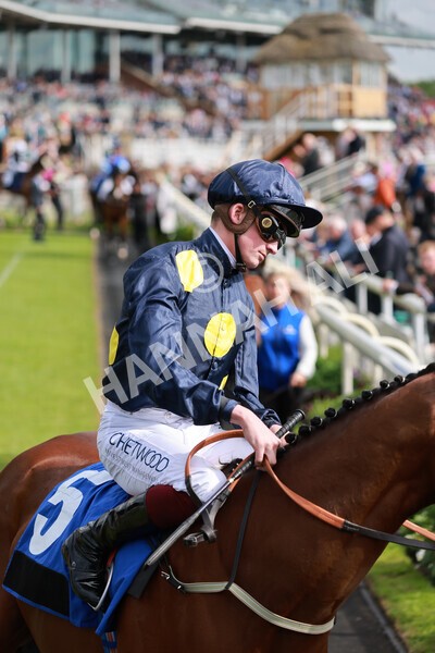 yr21052022r6-9 - Race 6: 4:42pm Yorkshire Regiment Stakes