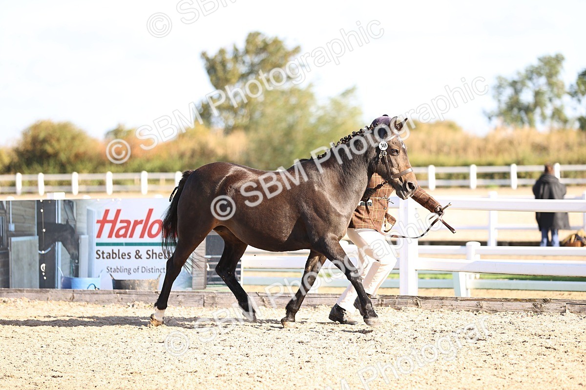 SBM_08467 - Class 402 - IH Veteran Pony