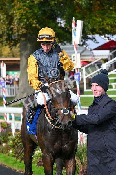 121024-Race 1-Jungle Drums-2644 - Race 1 1.30pm Coral Rockingham Stakes