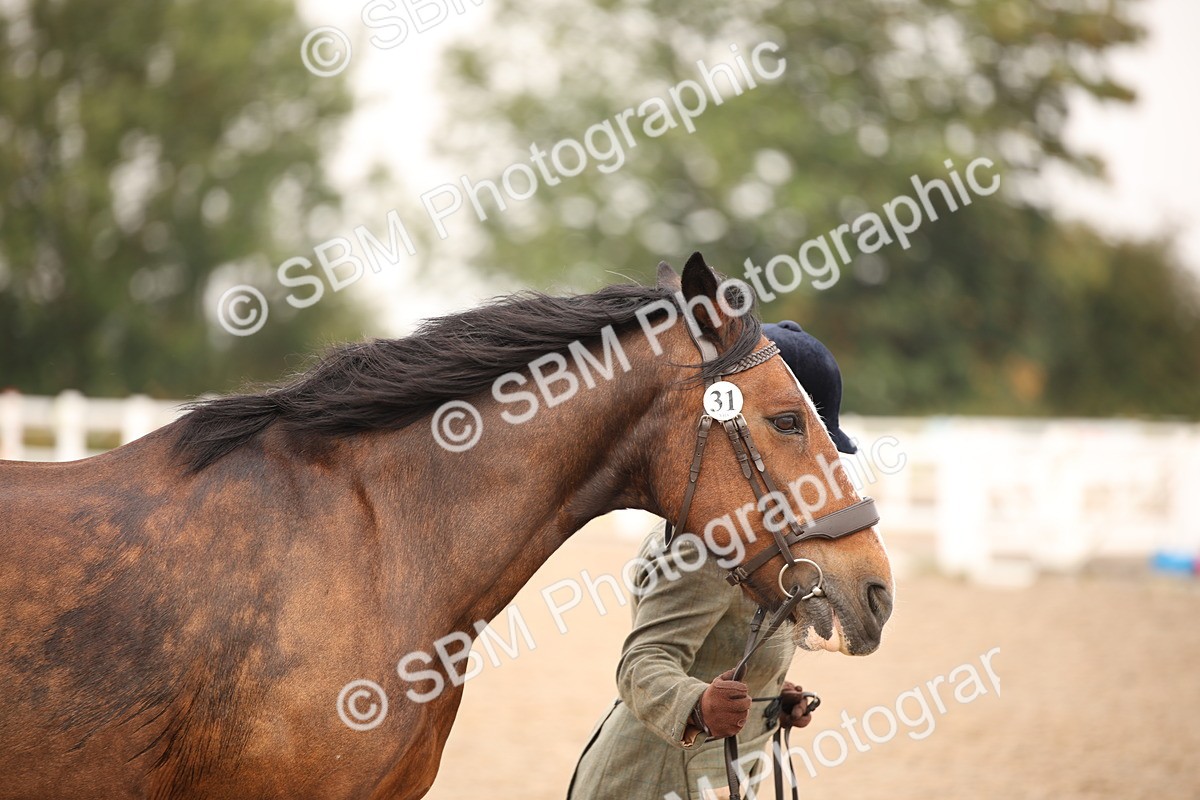 SBM_21494 - Class 706 - IH  Veteran