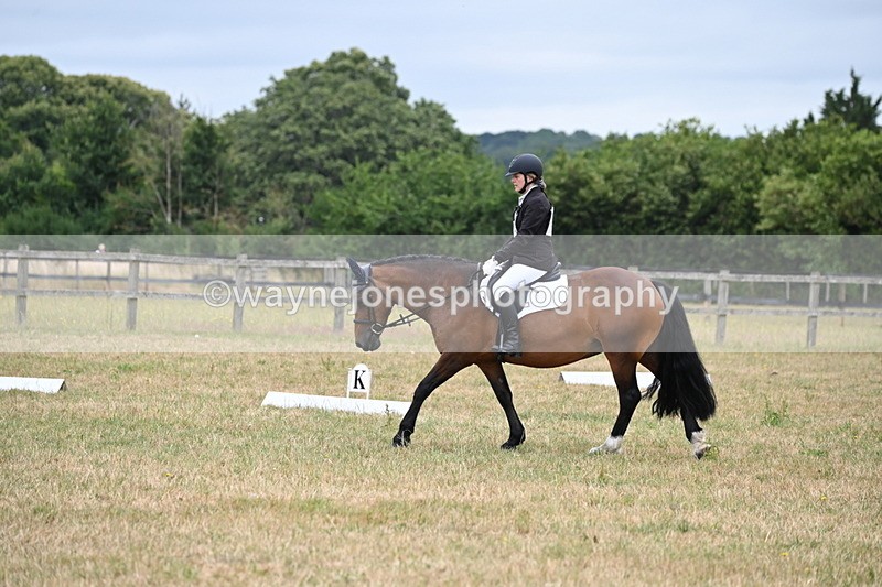 WJ6_9231 - Time 10:00 to 10:11