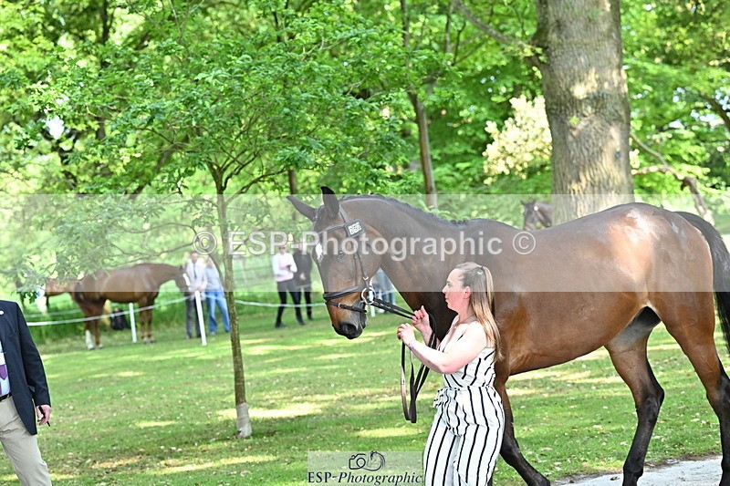 250521A-164016-01270 - C-252-Zoe.Boyles-SAM