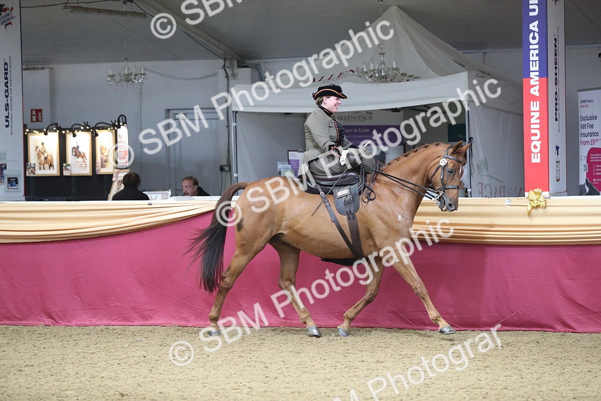 SBM_11522 - Class 105 Ridden Costume- Side Saddle