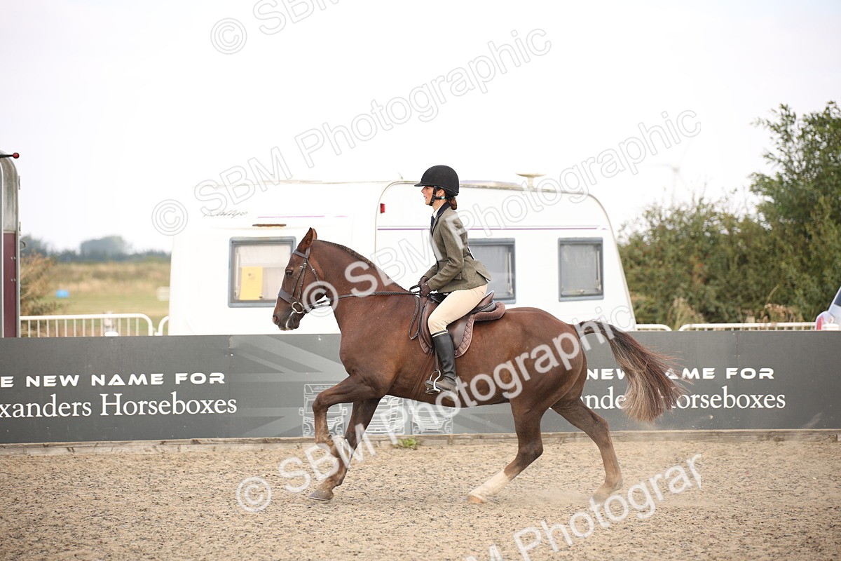 SBM_16031 - Class 408b - Working Veteran 70cm (20+)