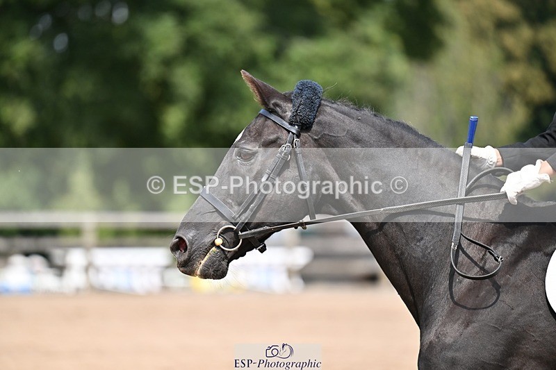 250823A-144201-31703 - NAF Round 1 14.30 to 15.50