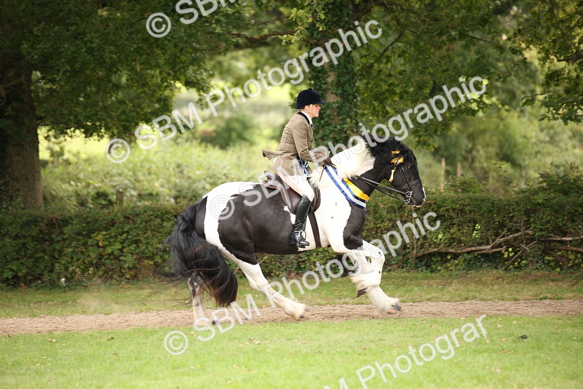 SBM_73663 - Ridden Horse Supreme Championship