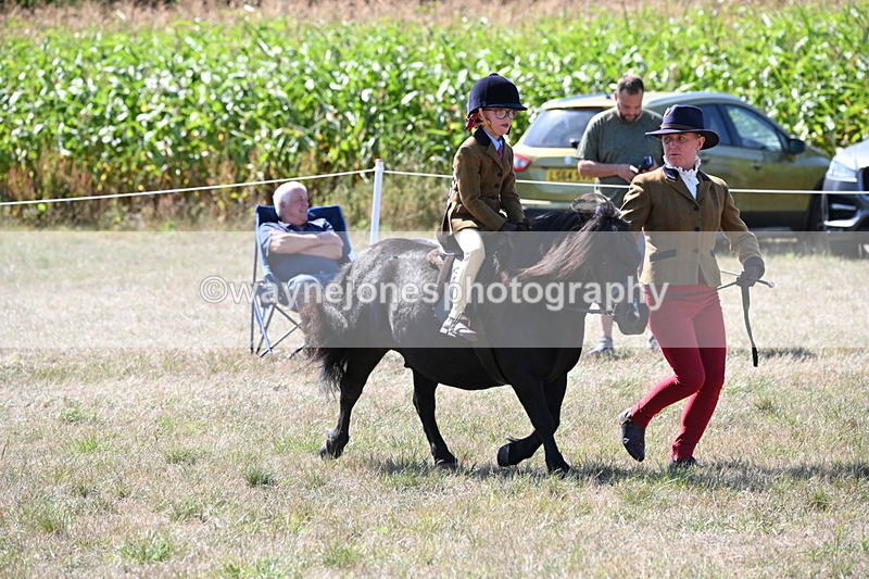 WJ6_8094 - Class 36 Lead Rein
