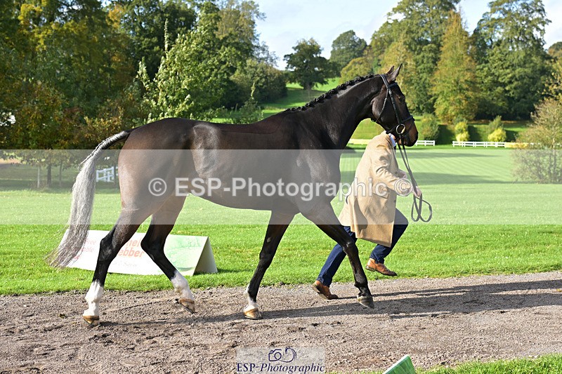 241023-130837-00094 - 005-Matthew.Heath-DIEGOS.ROSE