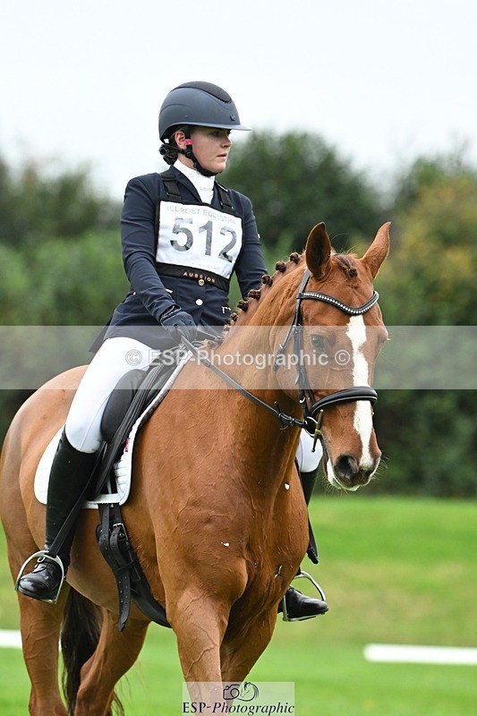 241024-121759-03360 - 512-Elisha.O'Brien-HIGHLIGHT.ROLLER