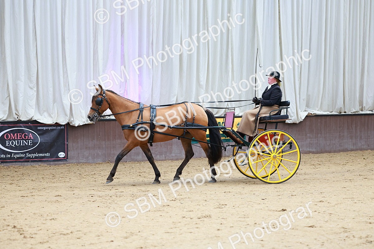 SBM_001062 - Class 15 - Open Showmans Class